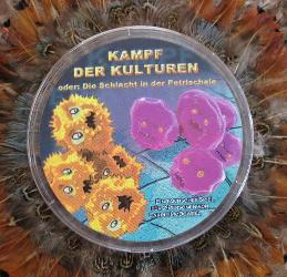 Kampf Der Kulturen