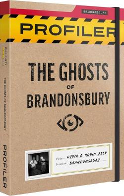 Profiler: The Ghosts Of Brandonsbury