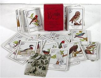The Game of Birds