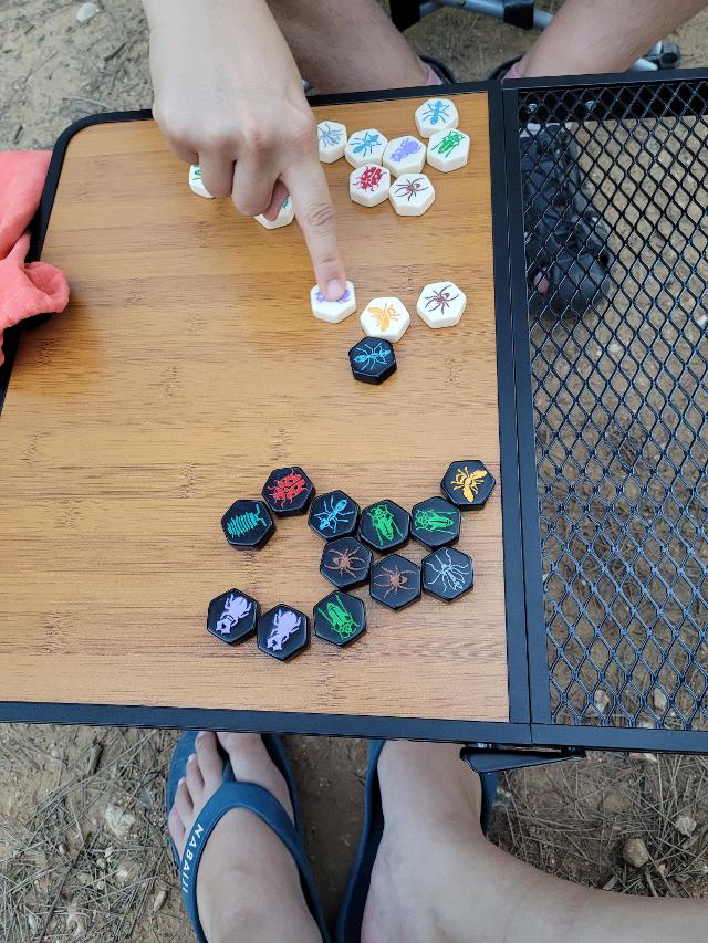 Hive Pocket on the table, photo by Koa