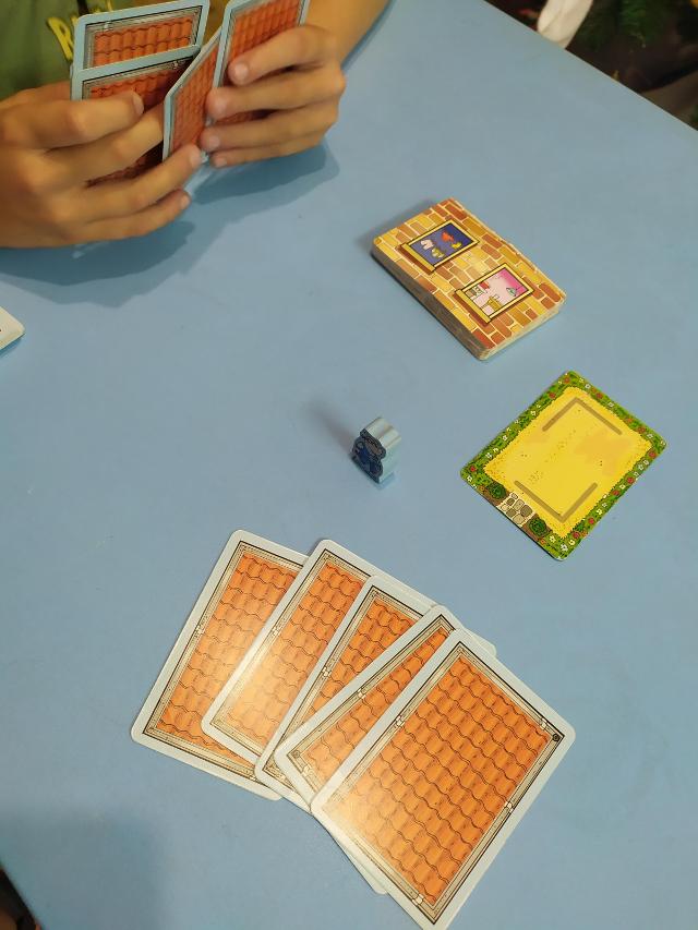 Rhino Hero on the table, photo by Daniel