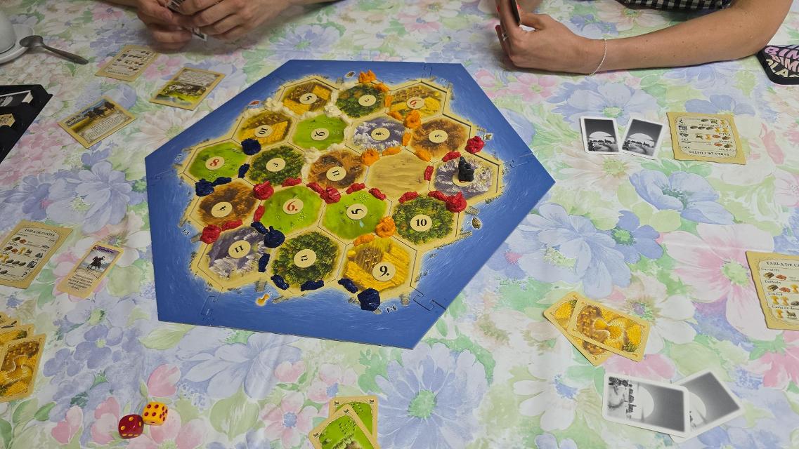 Catan sobre la taula, foto de Daniel Martín Romo Parra