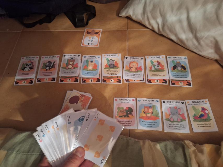 For Northwood! A Solo Trick-Taking Game på bordet, foto af Artur Rodríguez Coma