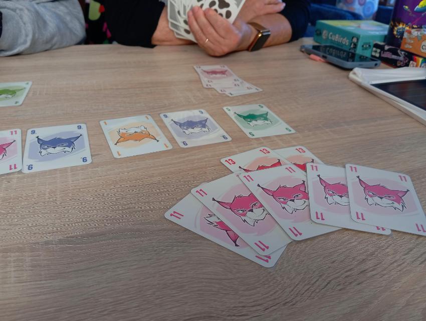 Abluxxen auf dem Tisch, Foto von Estepo Estepoes