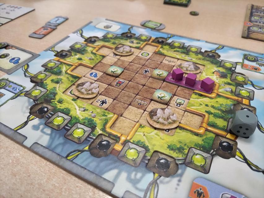 Planta Nubo on the table, photo by Amy