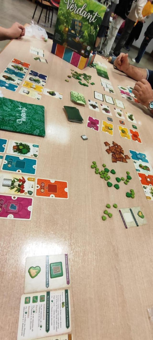 Verdant on the table, photo by Estepo Estepoes