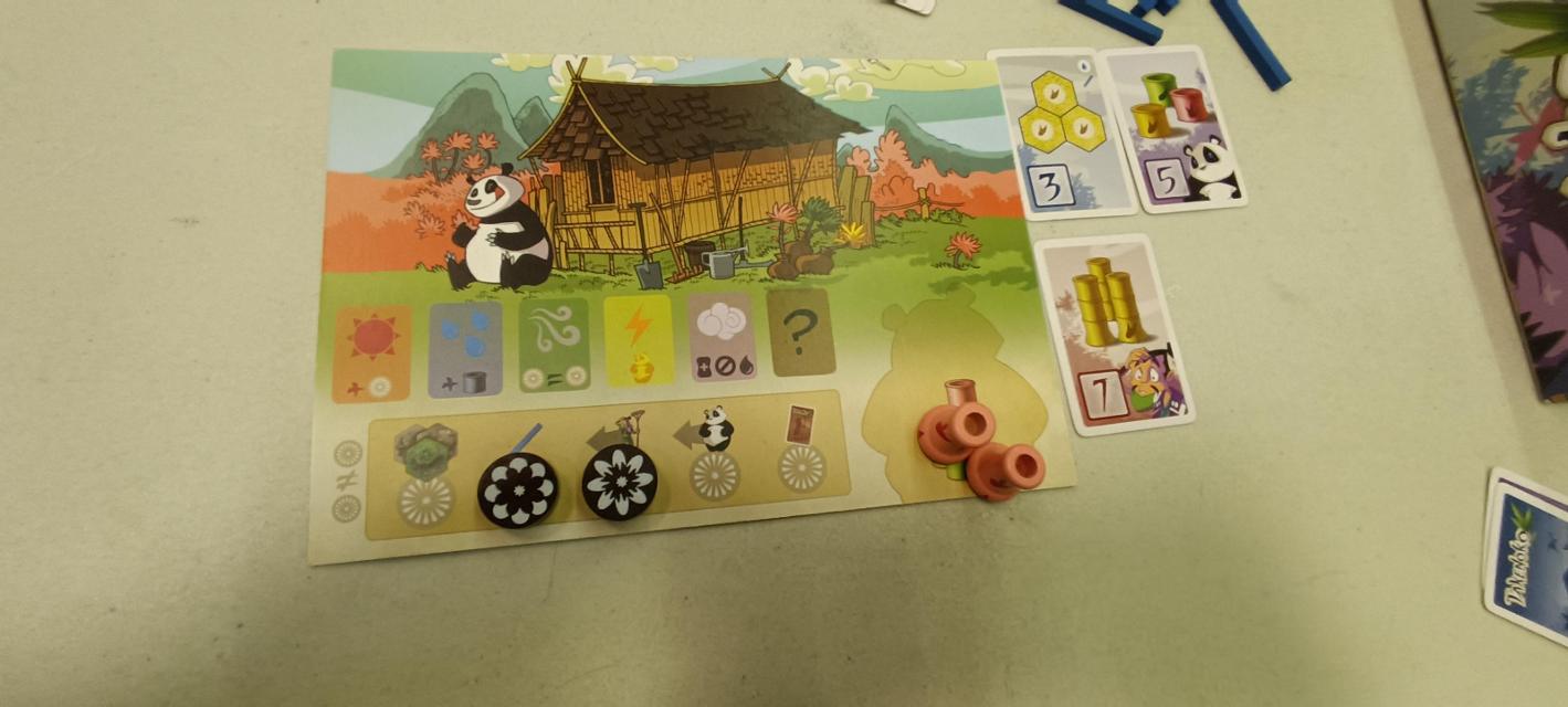 Takenoko на масата, снимка: Viafora - Francesc