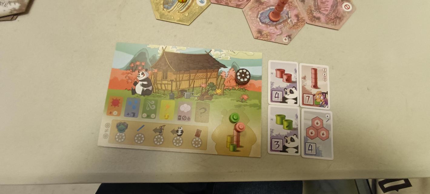Takenoko на масата, снимка: Viafora - Francesc