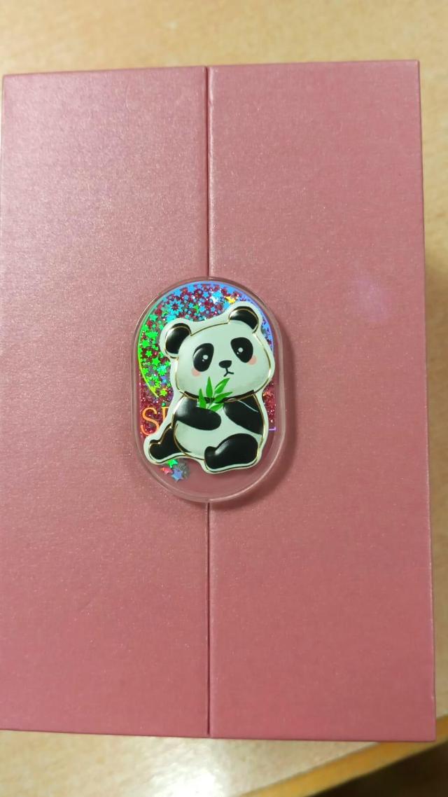 Panda na stole, foto: Estepo Estepoes