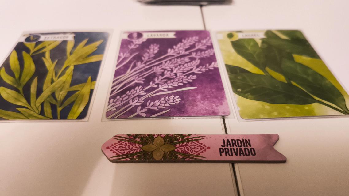 テーブル上のハーベイシャスカードゲーム（写真：Mochilo）
