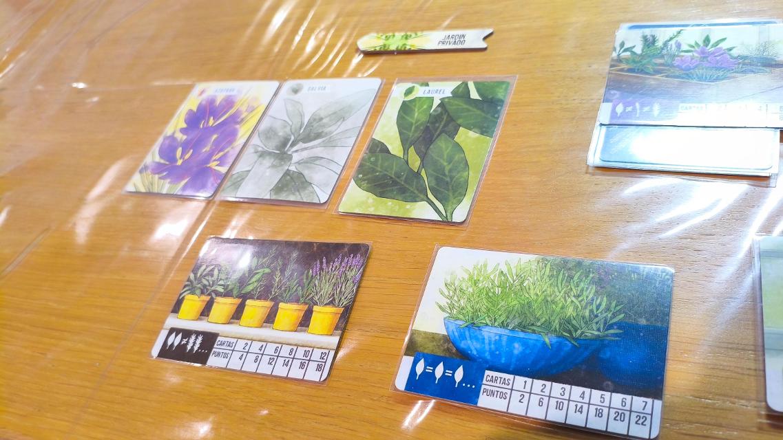 テーブル上のハーベイシャスカードゲーム（写真：Mochilo）
