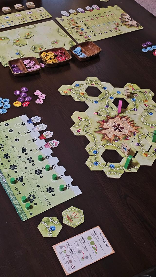 Gnome Hollow on the table, photo by Gent Canaj