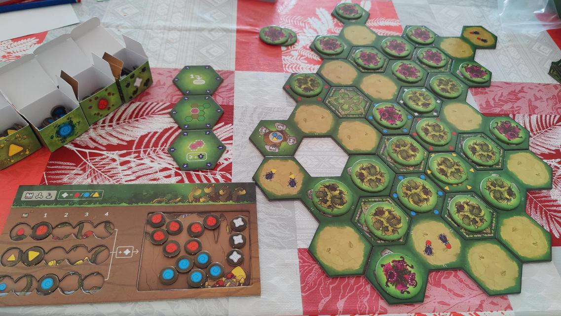 Vorex on the table, photo by Fran Loga