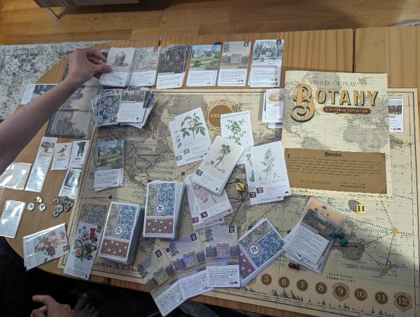 Botany on the table, photo by Brandon Storm