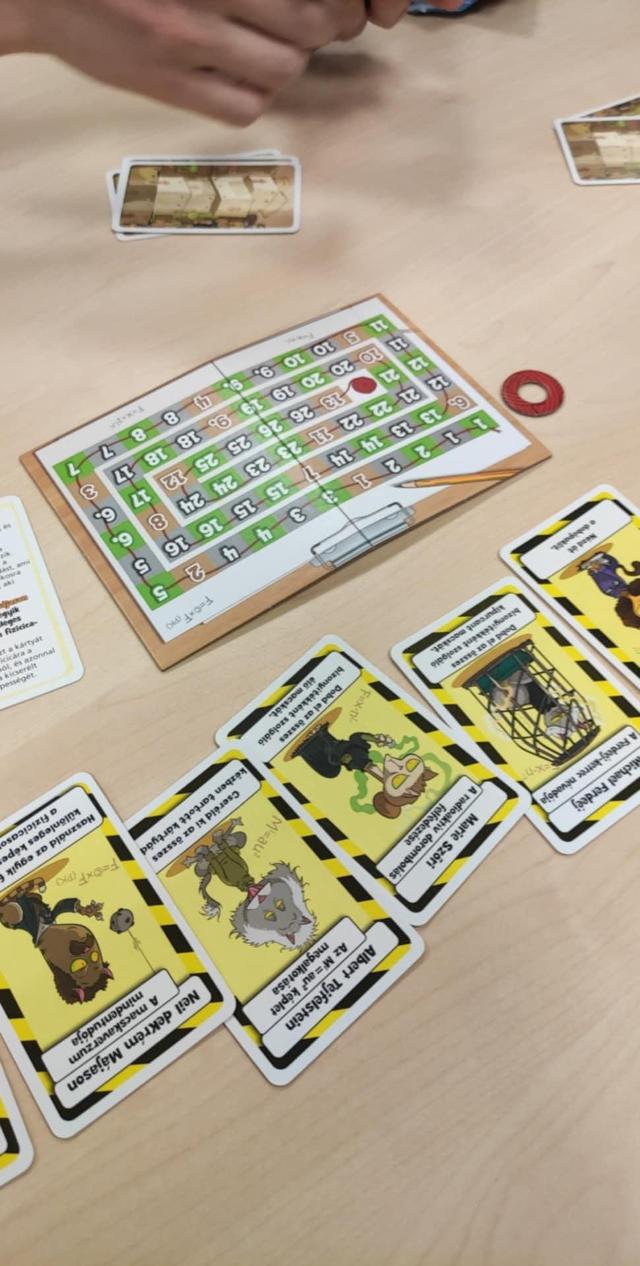 Schrödinger's Cats on the table, photo by Sebashi