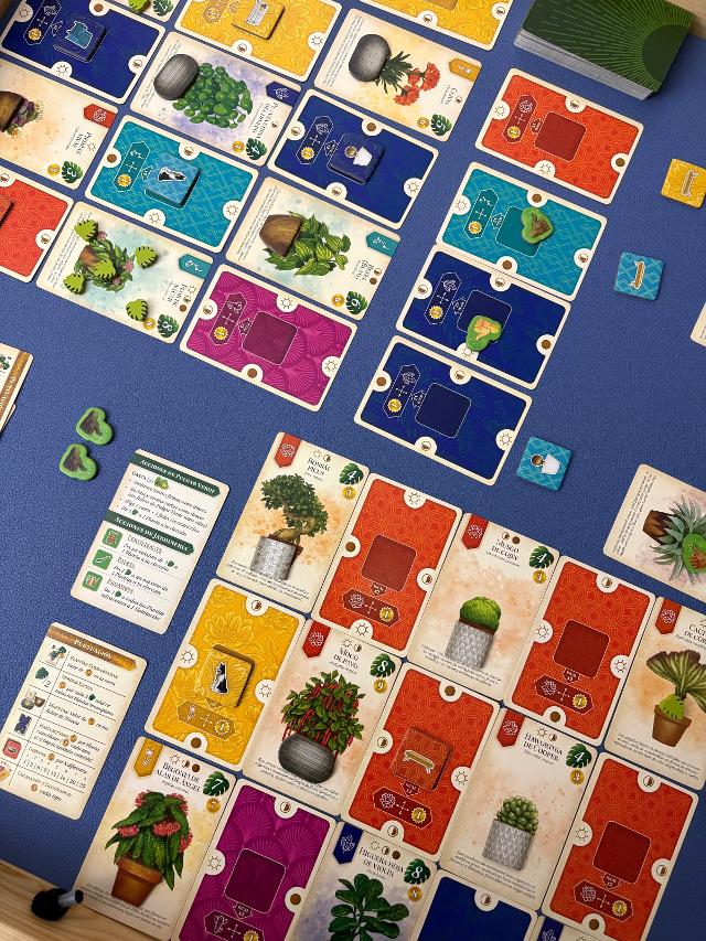 Verdant on the table, photo by Grouchina