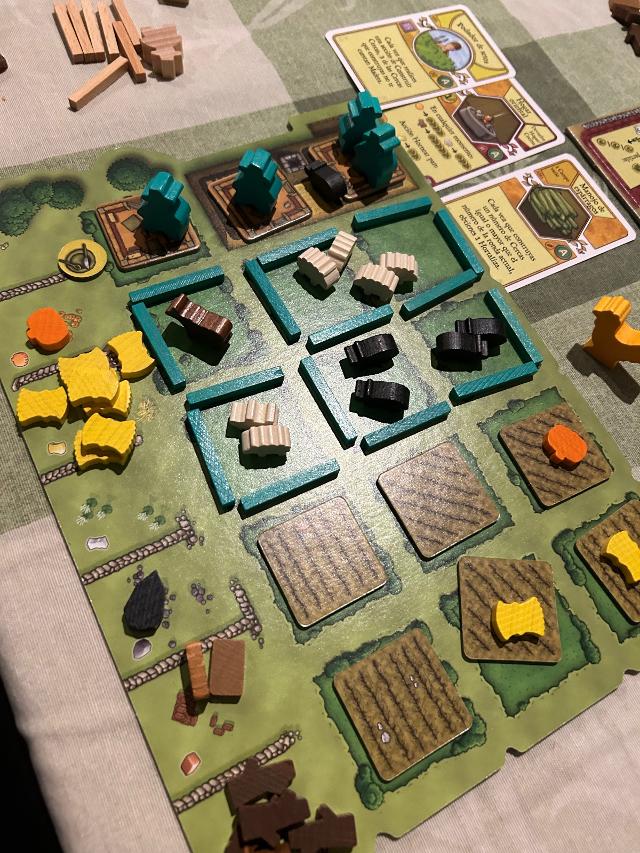 Agricola 15 auf dem Tisch, Foto von David