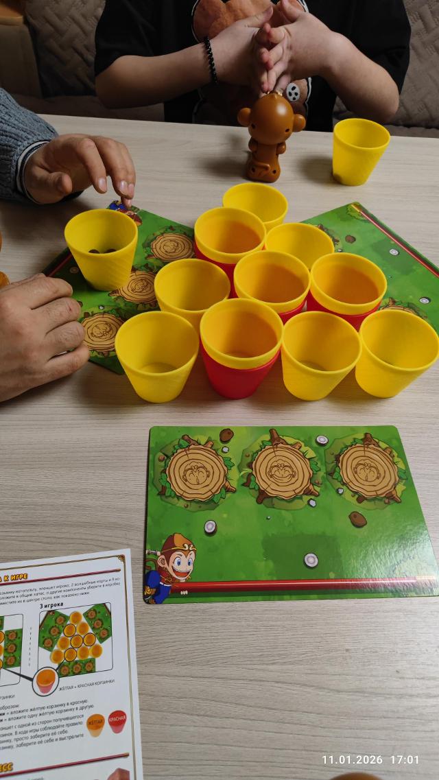 Coconuts on the table, photo by FazerGD