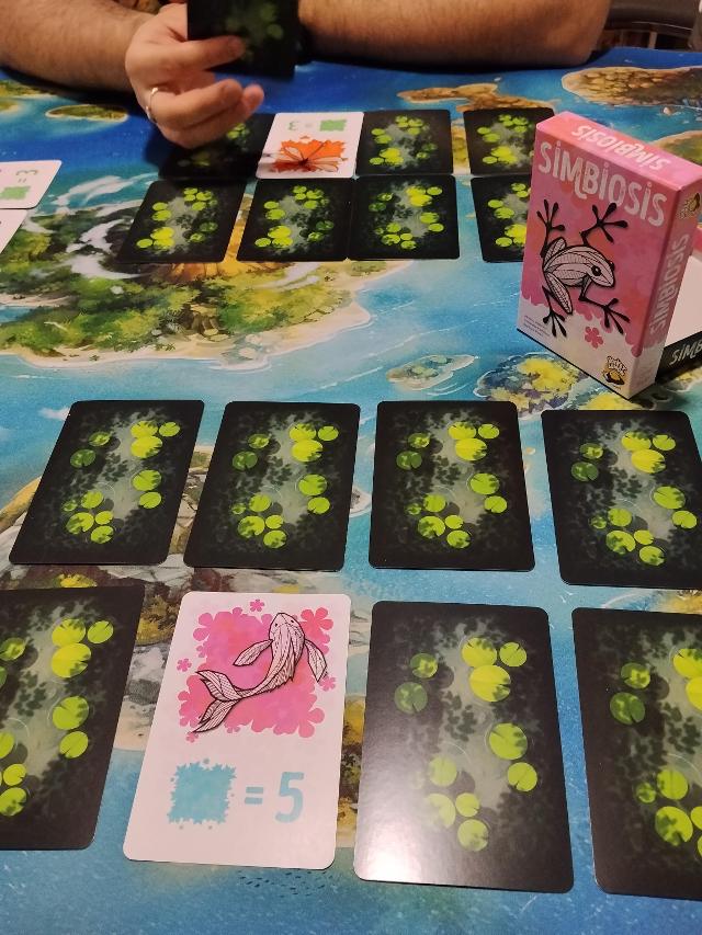 Symbiosis on the table, photo by Amy