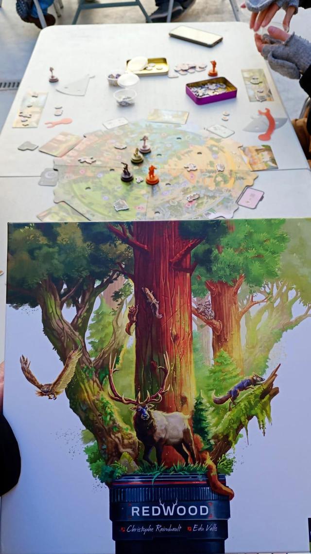 Redwood pöydällä, kuva: Estepo Estepoes