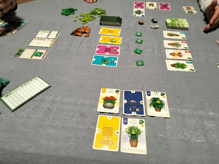 Verdant on the table, photo by Ghospi
