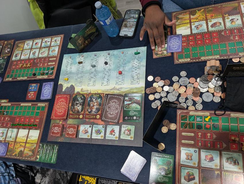 Raccoon Tycoon auf dem Tisch, Foto von Brandon Storm