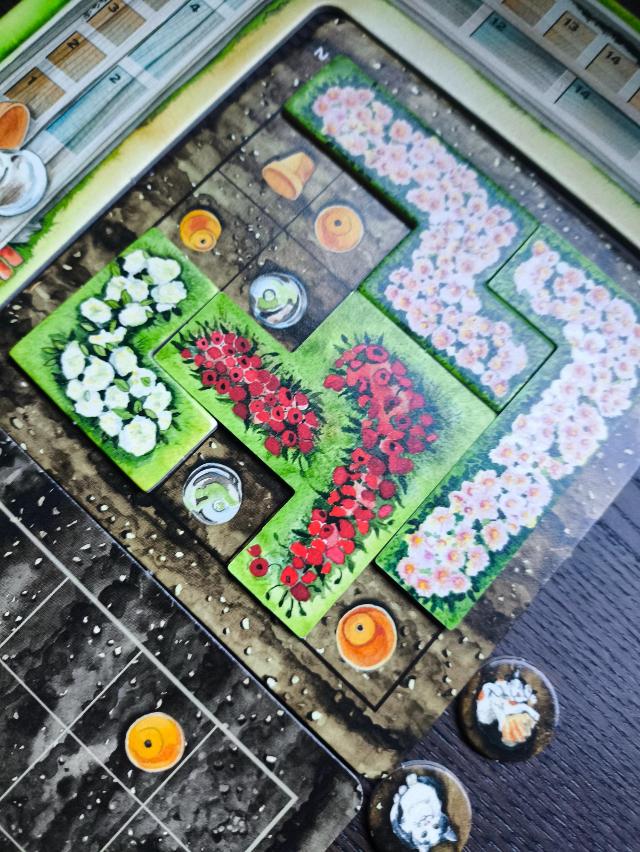 Cottage Garden on the table, photo by Guillermo Sordo Sáinz