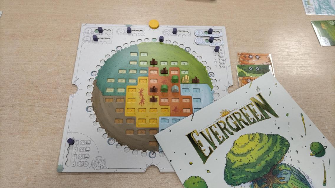 Evergreen on the table, photo by Amy