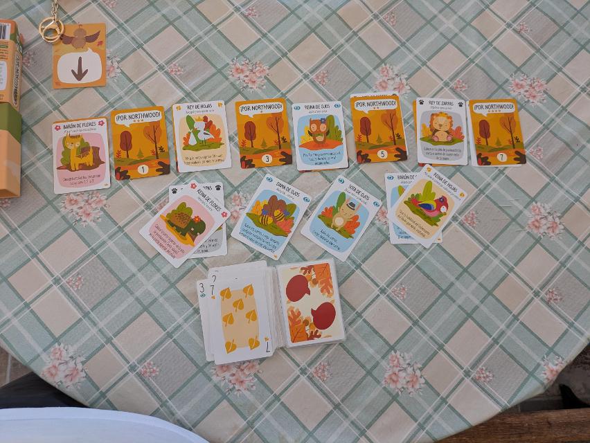 For Northwood! A Solo Trick-Taking Game på bordet, foto af ming bambu