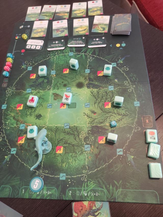 Kelp: Shark vs Octopus op tafel, foto van Pauliss