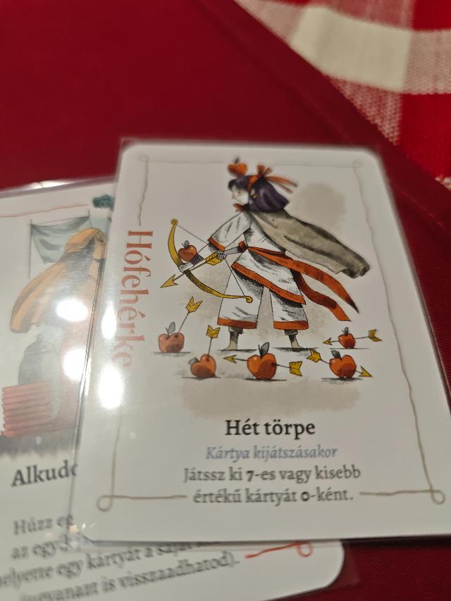 Rebel Princess: 2nd Edition on the table, photo by tienlevy