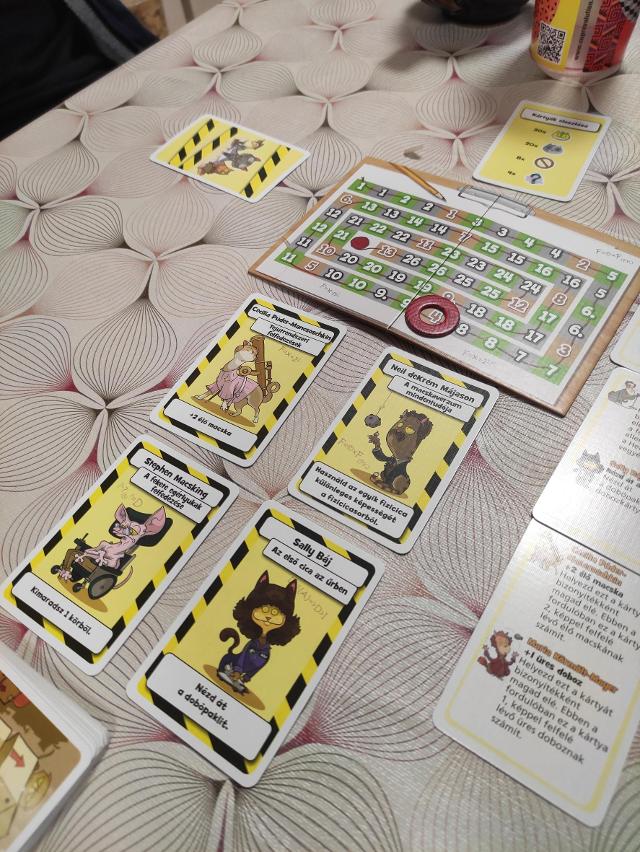 Schrödinger's Cats on the table, photo by Sebashi
