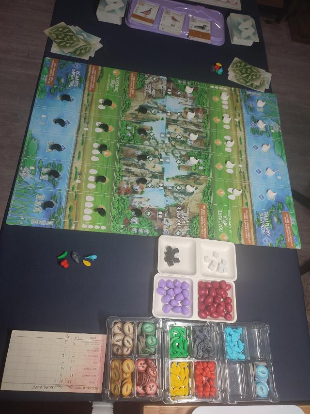 桌上的展翅翱翔:亚洲篇,照片来自 Даниил
