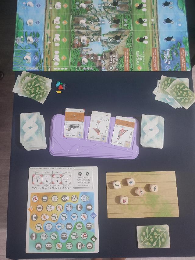 桌上的展翅翱翔:亚洲篇,照片来自 Даниил