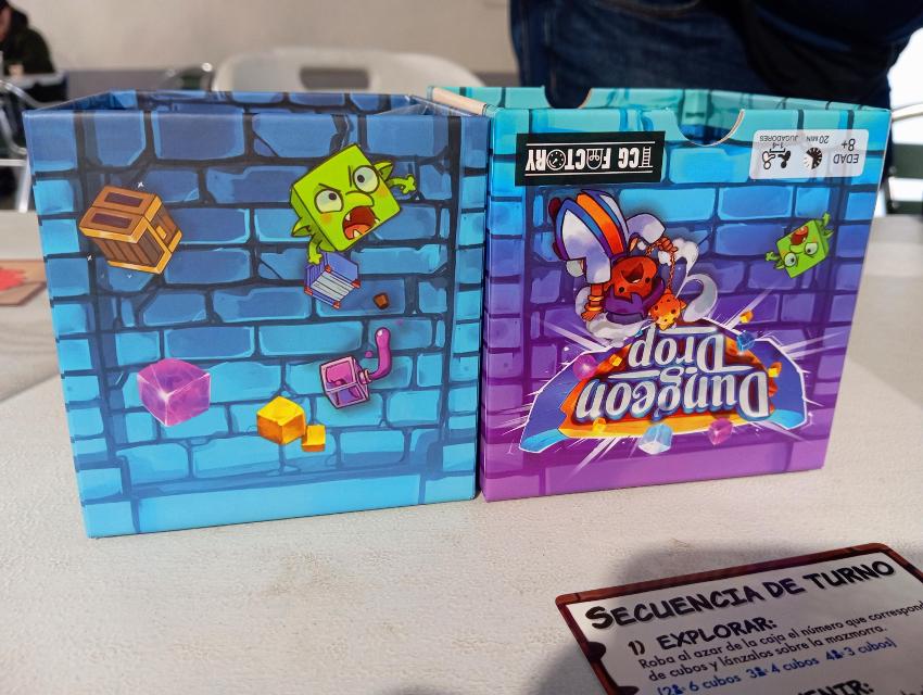 Dungeon Drop on the table, photo by Estepo Estepoes