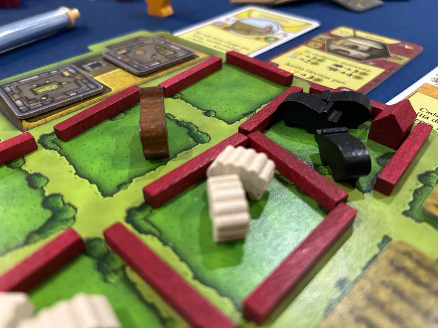 Agricola 15 auf dem Tisch, Foto von David