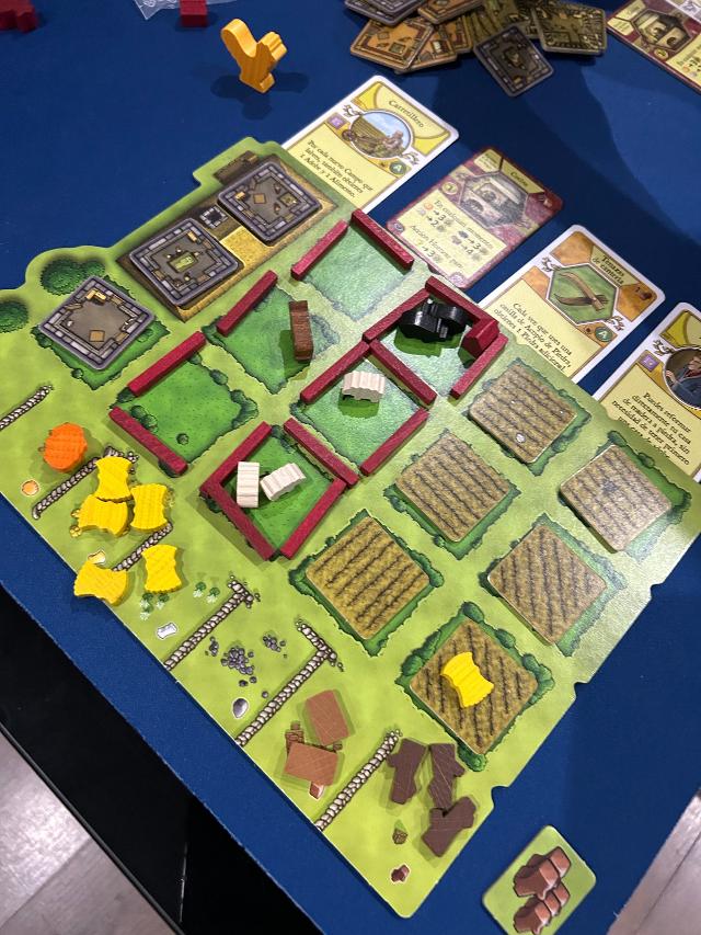 Agricola 15 auf dem Tisch, Foto von David