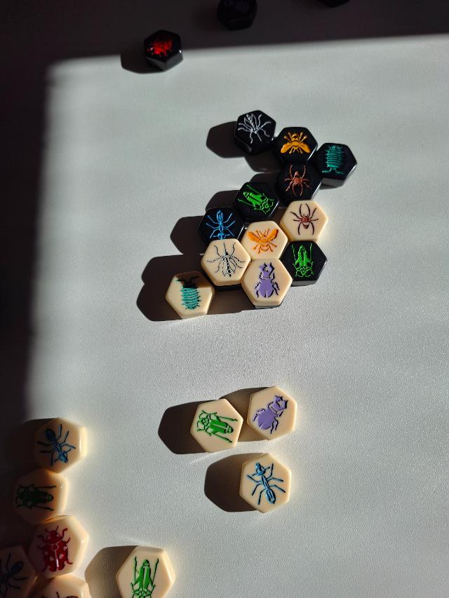 Hive Pocket on the table, photo by Artur Rodríguez Coma