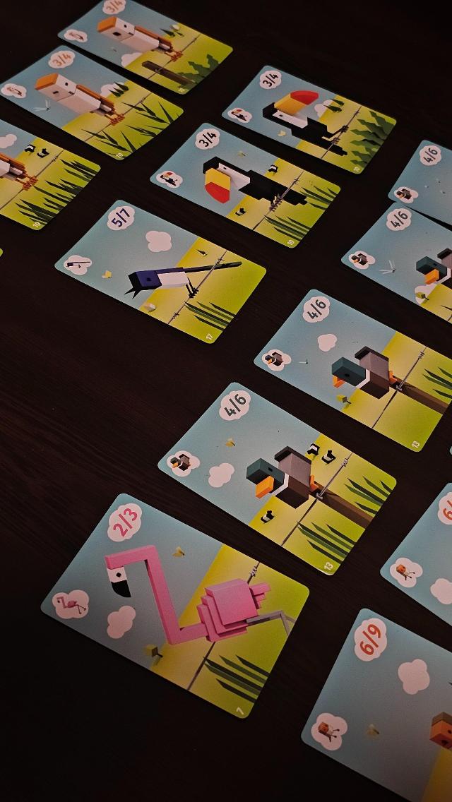 桌上的CuBirds,照片来自 Gent Canaj