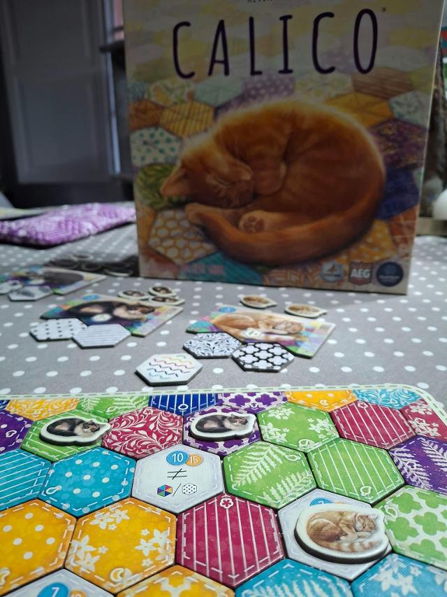 Calico auf dem Tisch, Foto von Sir_Tim
