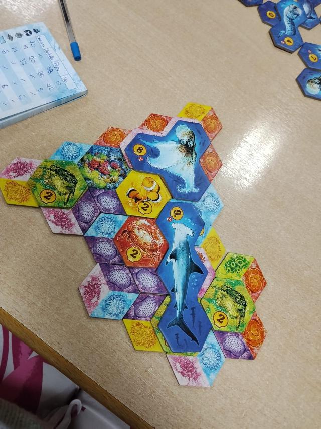 Aqua: Bioróżnorodność w oceanach na stole, zdjęcie: Amy