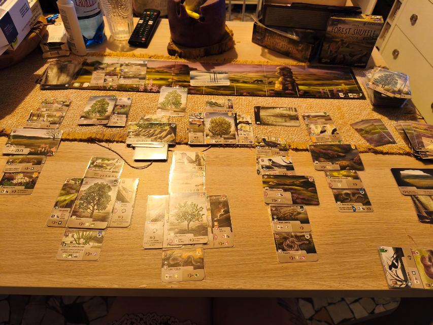 Masada Forest Shuffle: Dartmoor, fotoğraf: Alessia Celadin