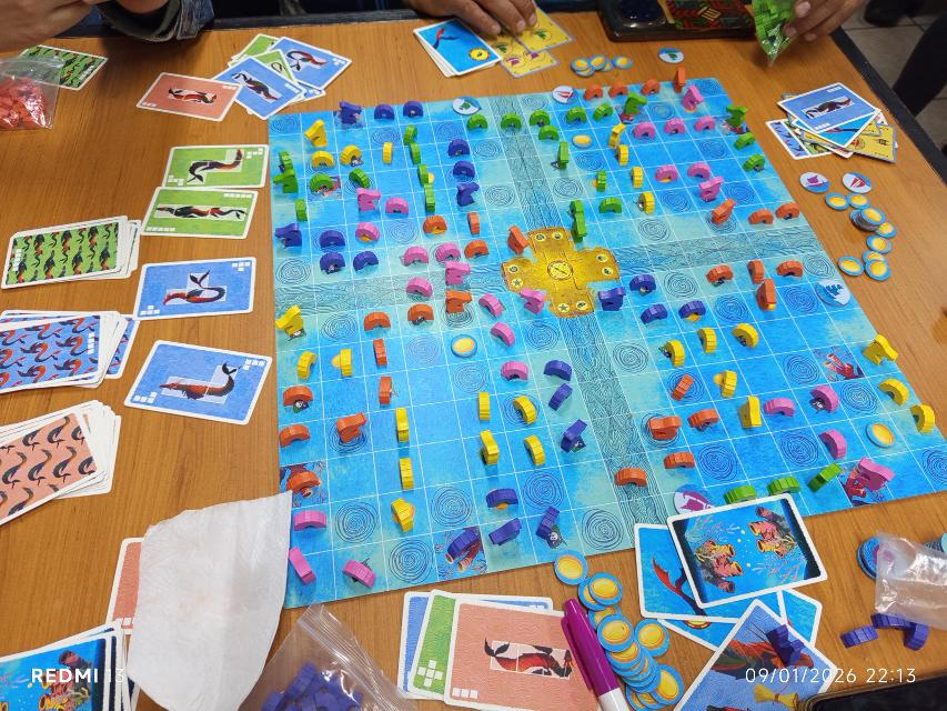 Sea Dragons on the table, photo by MarFe MaAn