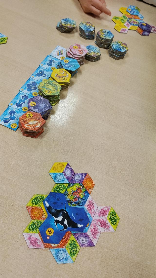 Aqua: Bioróżnorodność w oceanach na stole, zdjęcie: Amy
