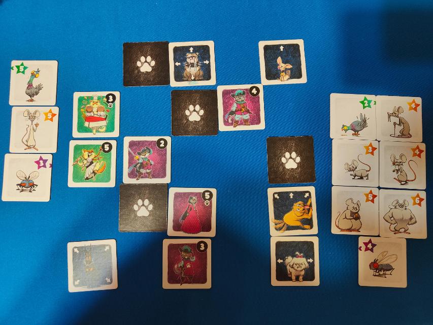 Pocket Cats on the table, photo by Bad Brown Bear