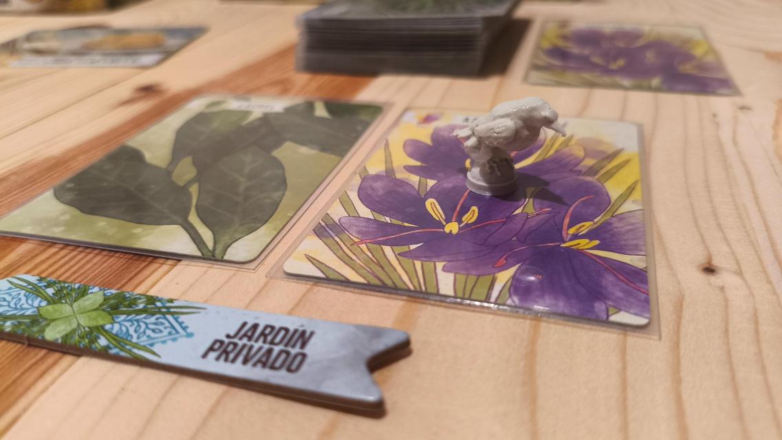 テーブル上のハーベイシャスカードゲーム（写真：Mochilo）