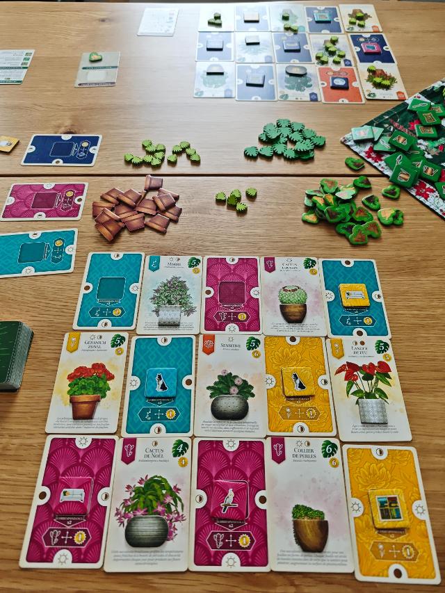 Verdant on the table, photo by tienlevy