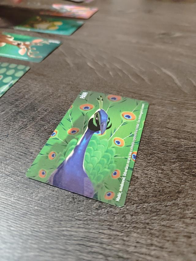 Similo: Jurassic World auf dem Tisch, Foto von tienlevy