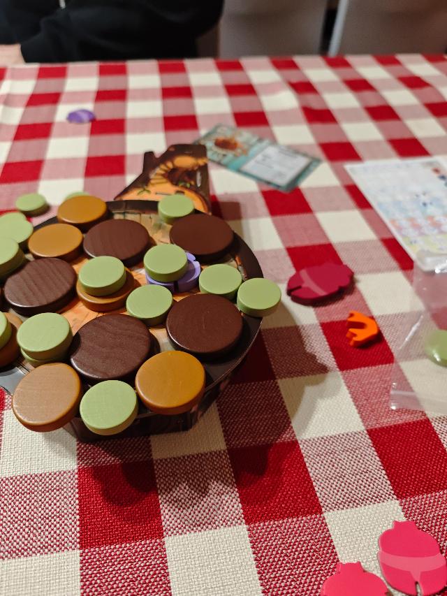Kabuto Sumo on the table, photo by tienlevy