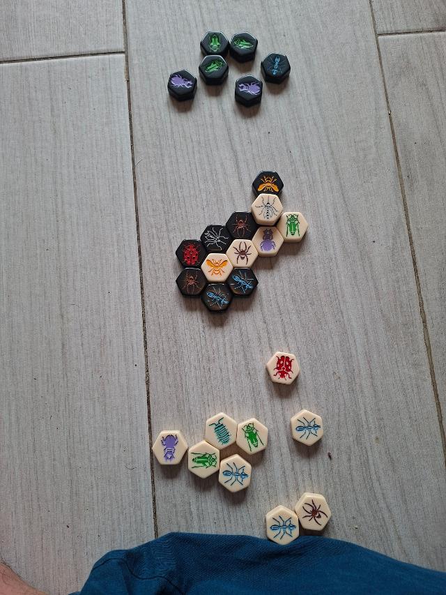 Hive Pocket on the table, photo by Artur Rodríguez Coma